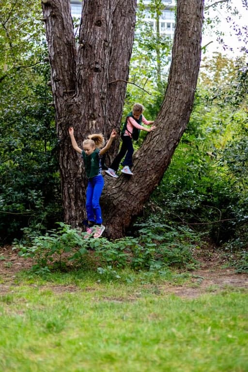 Zo aan de Daal en Bergselaan