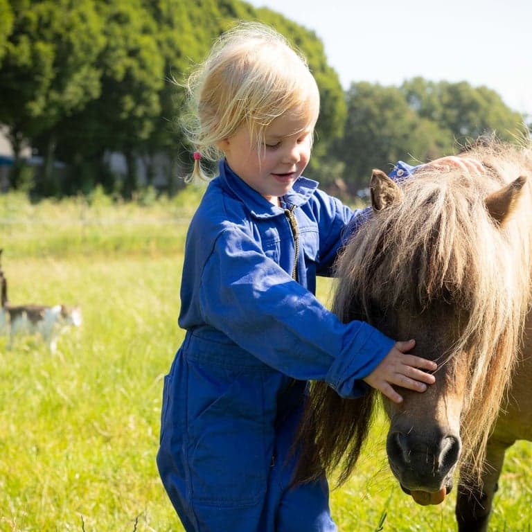 Hadshoof B.V. foto 6