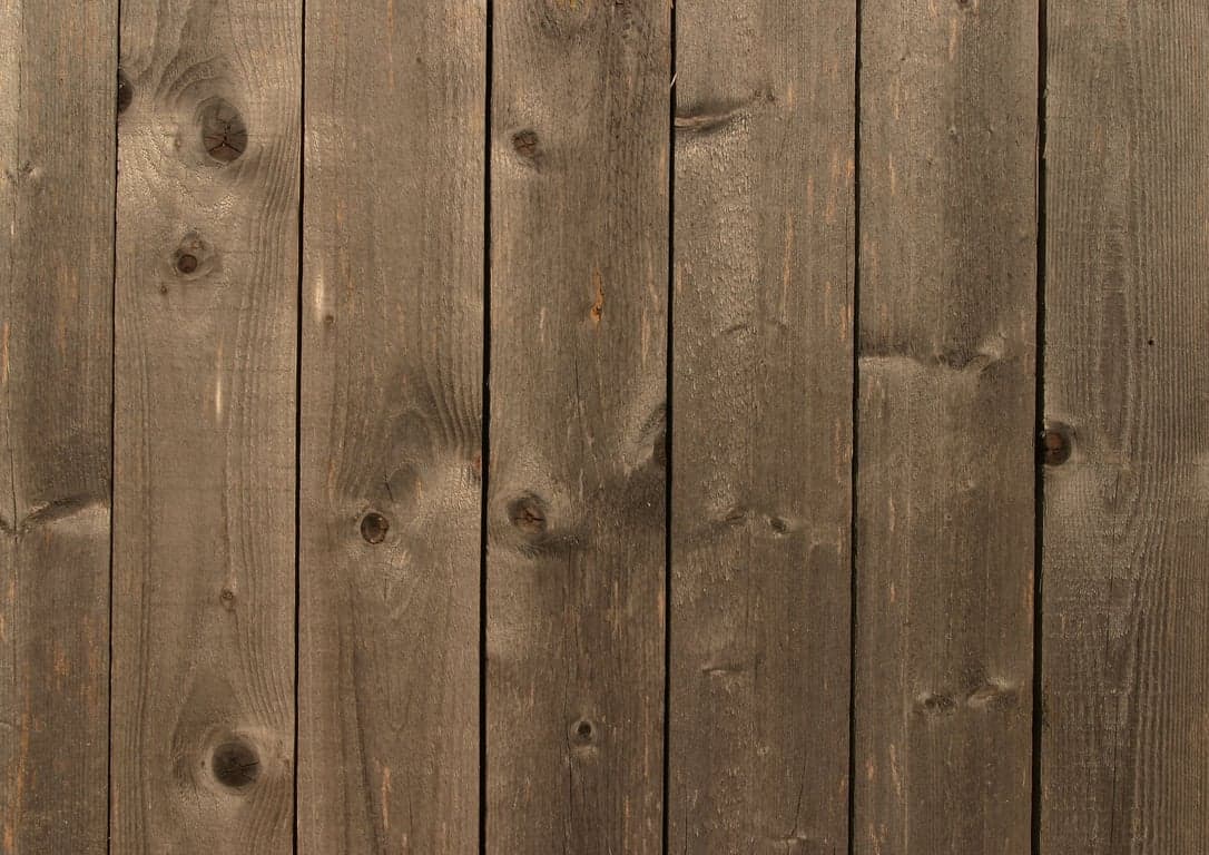 Kinderopvang malin foto 9