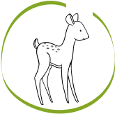 Kinderopvang Tot Strakjes foto 7