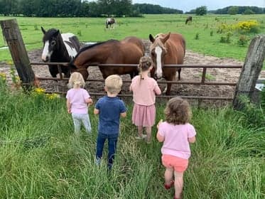 KDV Zuidlaren IKC De Schuthoek foto 5