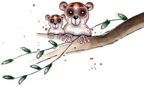 Kinderopvang Het Stoerwoud Otterstraat B.V. foto 9