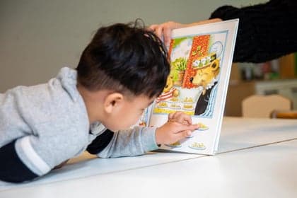 KDV Parkmeester foto 8