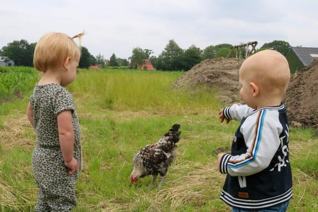 Avontureluur kinderopvang foto 8