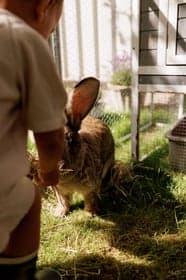 Bij ons op de boerderij foto 6