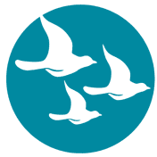 Plateau bso Theo Thijssen 2