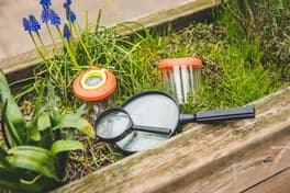 Partou KDV Baron G.A. Tindalplein 12 foto 10