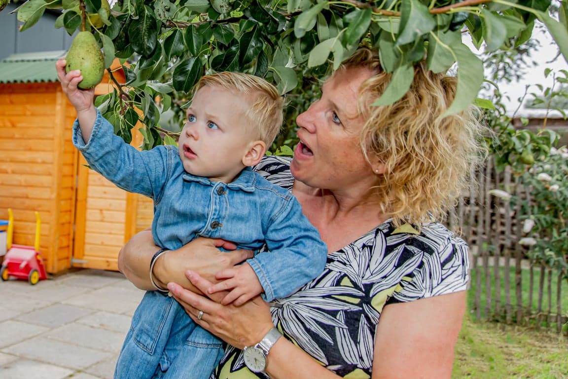 't Groene Juffertje foto 5