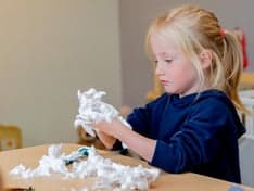 't Groene Juffertje foto 6