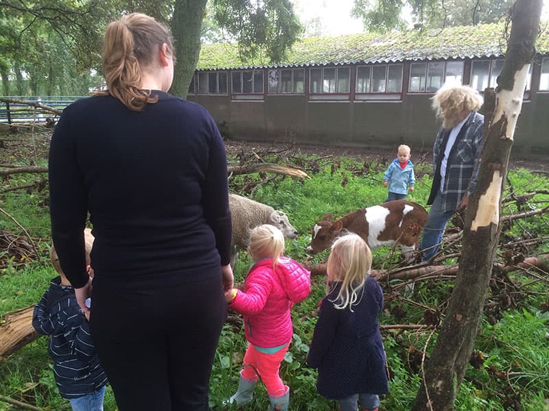 't Groene Juffertje foto 9