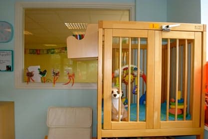 Kinderdagverblijf Kaluna van Nesstraat 11 3