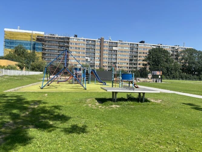 Dak Steenwijk foto 5