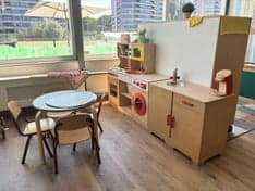 Dak Steenwijk foto 6