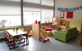 Dak Steenwijk foto 9