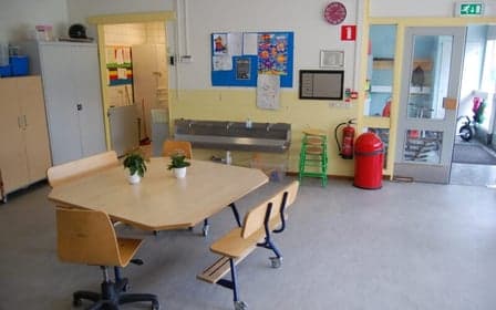 Dak Steenwijk foto 10