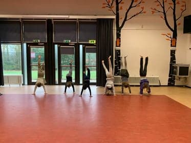 Sport-BSO Flekss - Kraaienest