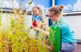 BSO Eigenwijs foto 8