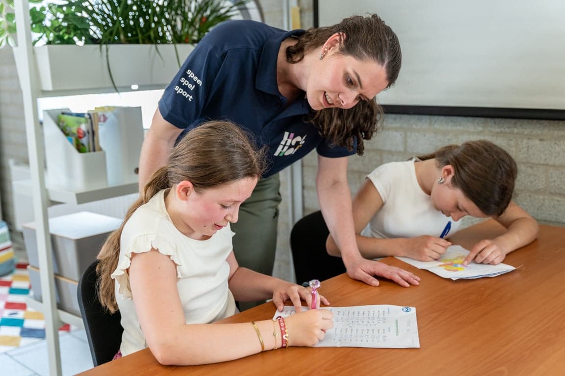 Het Hof van Baronie 2