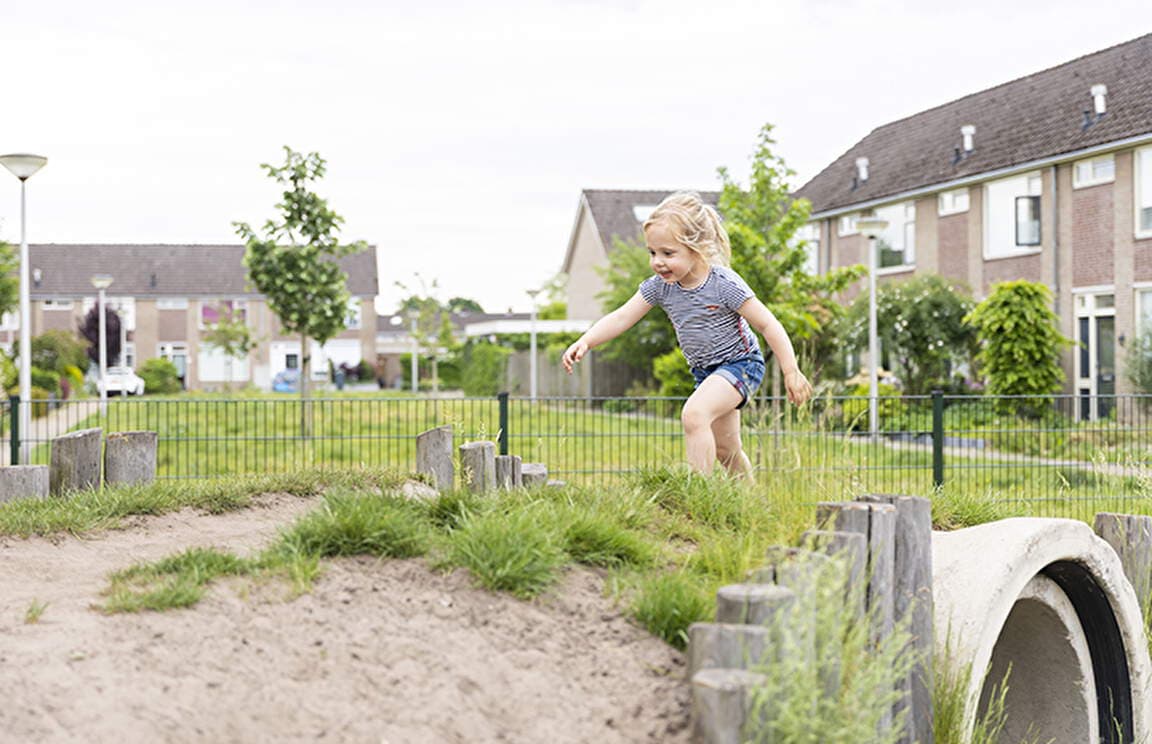 BSO De Kameleon foto 9