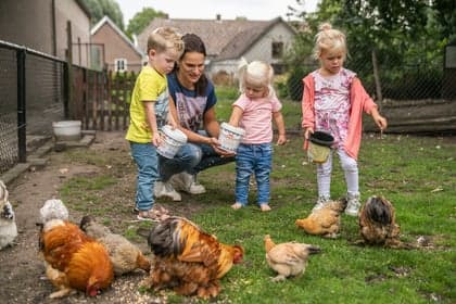 BSO 't Egeltje foto 5