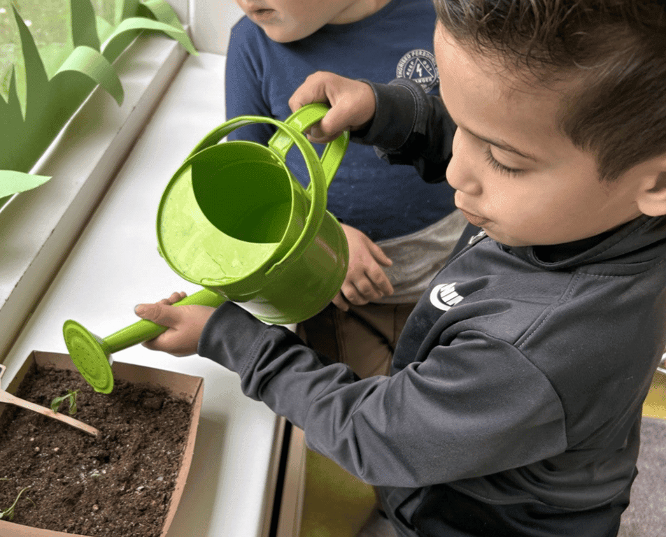 Kinderdagverblijf de Groene Boomhut foto 6