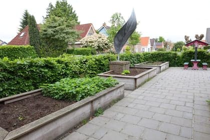 Kinderwoud POV Dorpsschool Wolvega foto 5