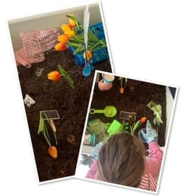 Peuteropvang De Vlinderboom 2