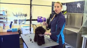 POV De Earste Trimen foto 4