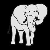 Carpe Diem Den Haag B.V. foto 4