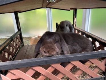 Estrellas Kinderopvang foto 4