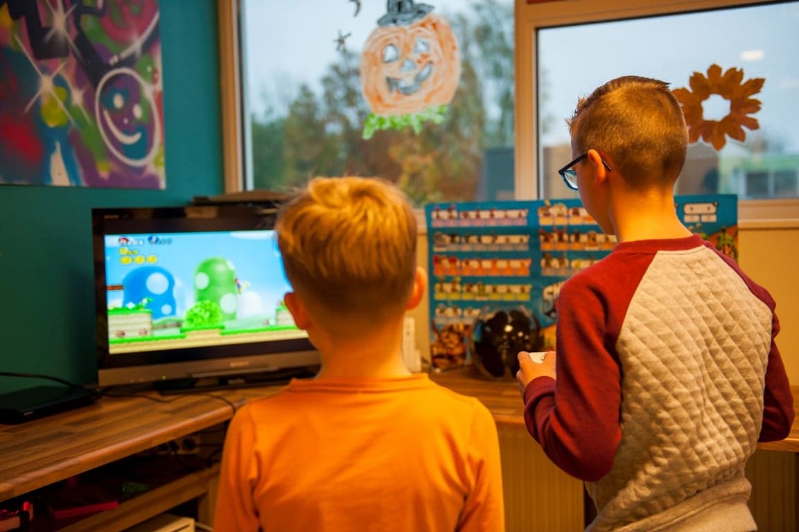 BSO de Zilvermeeuw foto 4