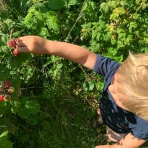 Kindercentrum Avonturen Tuin foto 7