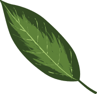 Villa Vipkids B.V. foto 7