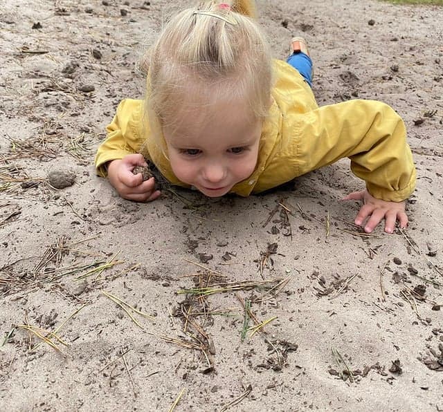 KC Dikkertje Dap / BSO 't Speelveld