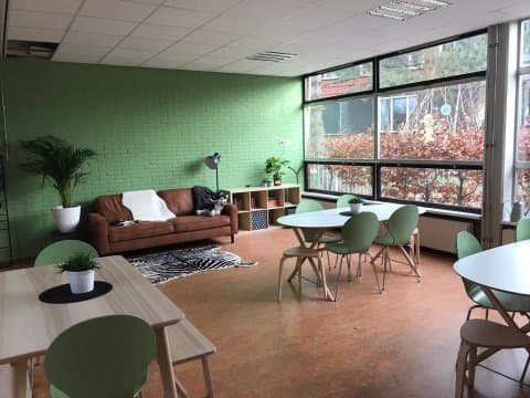 SkippyPePijN BSO Koala 2