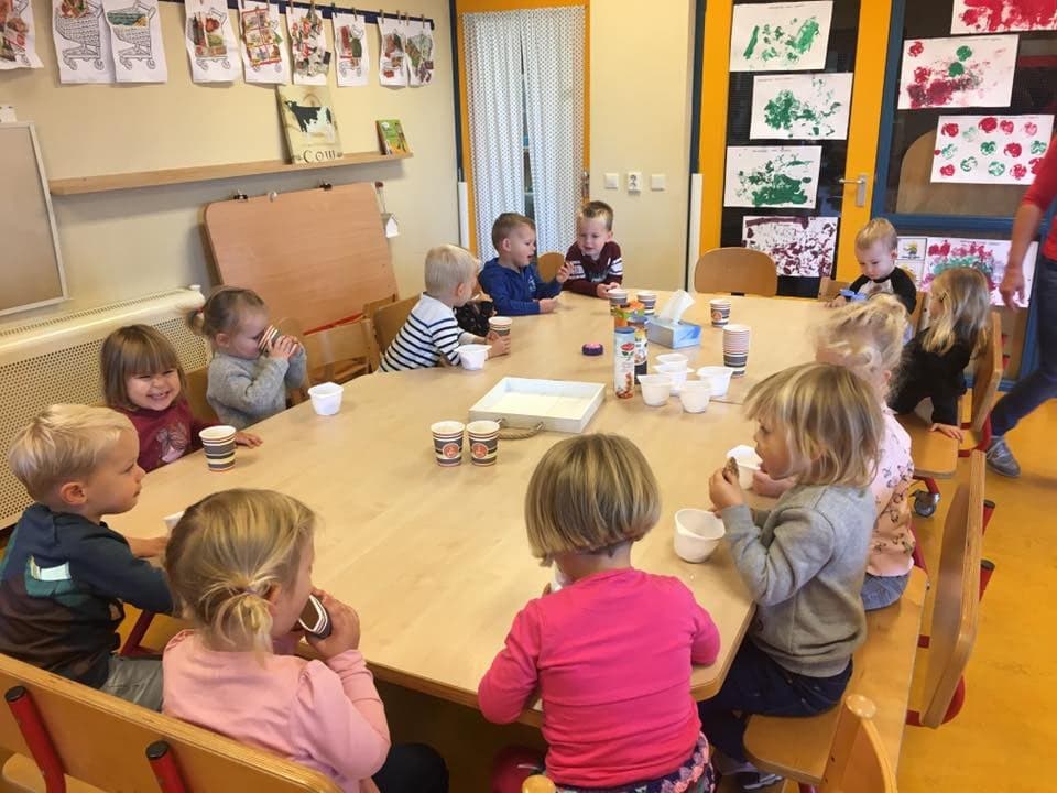 KDV Schildwolde de Krummelborg foto 5