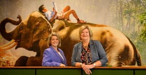 Sport BSO Kornak foto 6