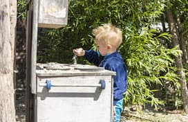 POV De Bezige Bijtjes foto 7