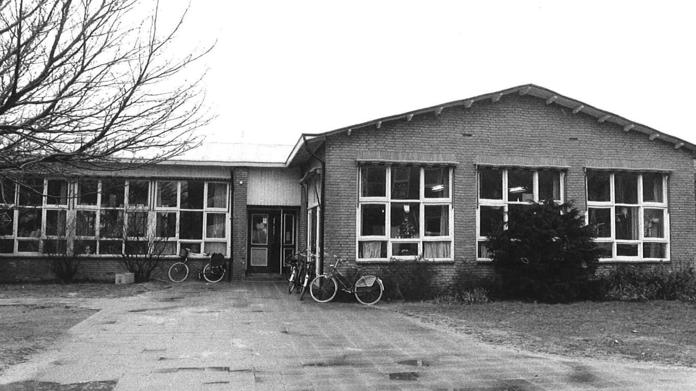 Klein Alkmaar Jan Steen foto 4