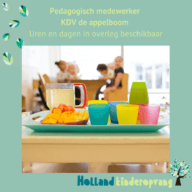 Holland Kinderopvang foto 10