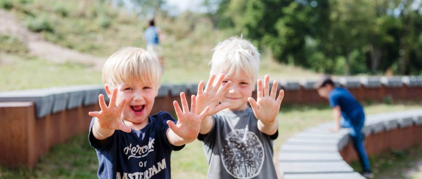 Bzzzonder Bergkwartier van Effenlaan 2