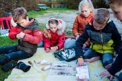 Bzzzonder Bergkwartier van Effenlaan foto 8
