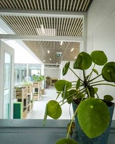 Hestia School of Understanding foto 10