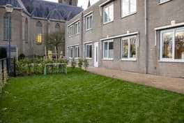 Donkies Rijsbergen KDV 2