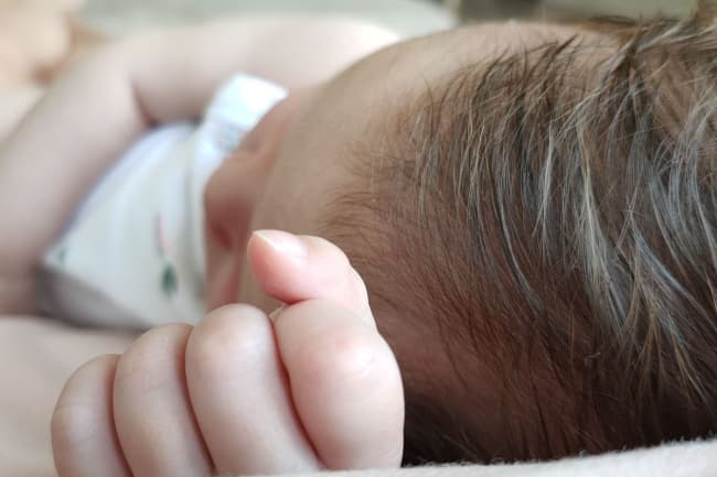 't Wolfje/BSO Wolfbos foto 4