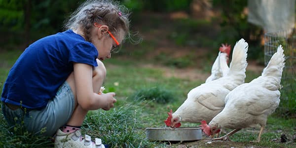 To Be Kind, locatie de Loofboom - BSO 3