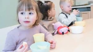 Het Kwartelnest foto 4