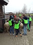 Kinderdagverblijf Berenhuis, Kindcentrum Wij-land foto 9