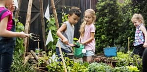 BSO IKC De Springplank