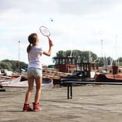 Dikkedeur Basis-BSO foto 5